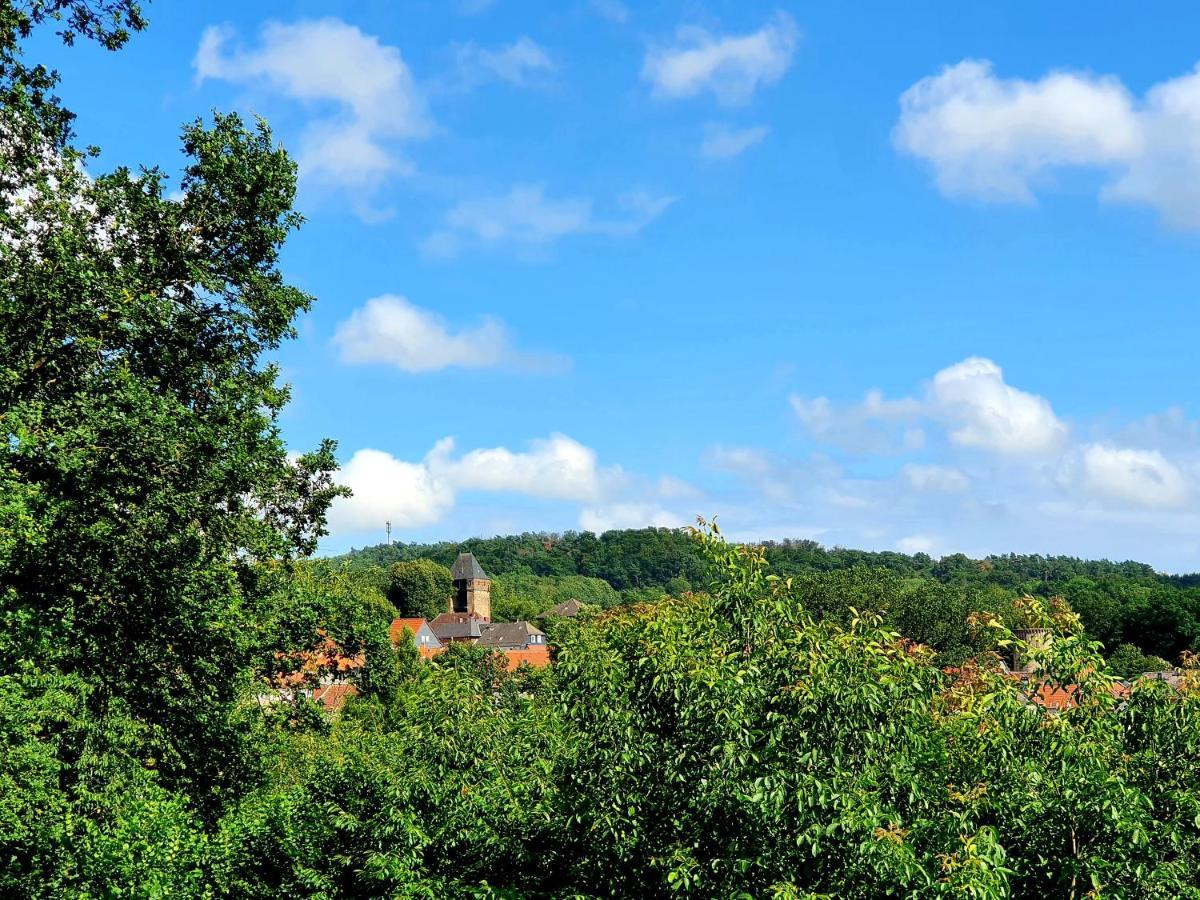 Kleines Domizil Am Suedhang Ortenberg (Hessen) Exterior foto