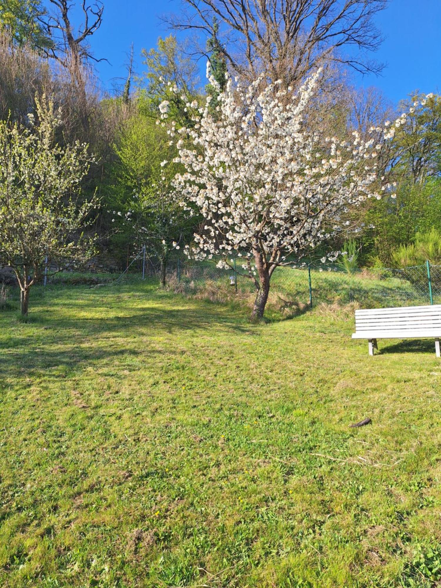 Kleines Domizil Am Suedhang Ortenberg (Hessen) Exterior foto